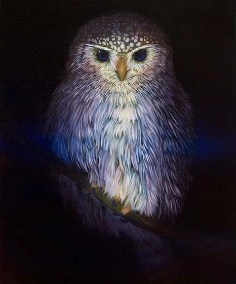 Untitled (owl)